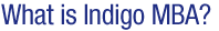 What is Indigo MBA?